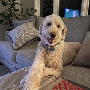 Fundraising Page: JENNIFER REIDY